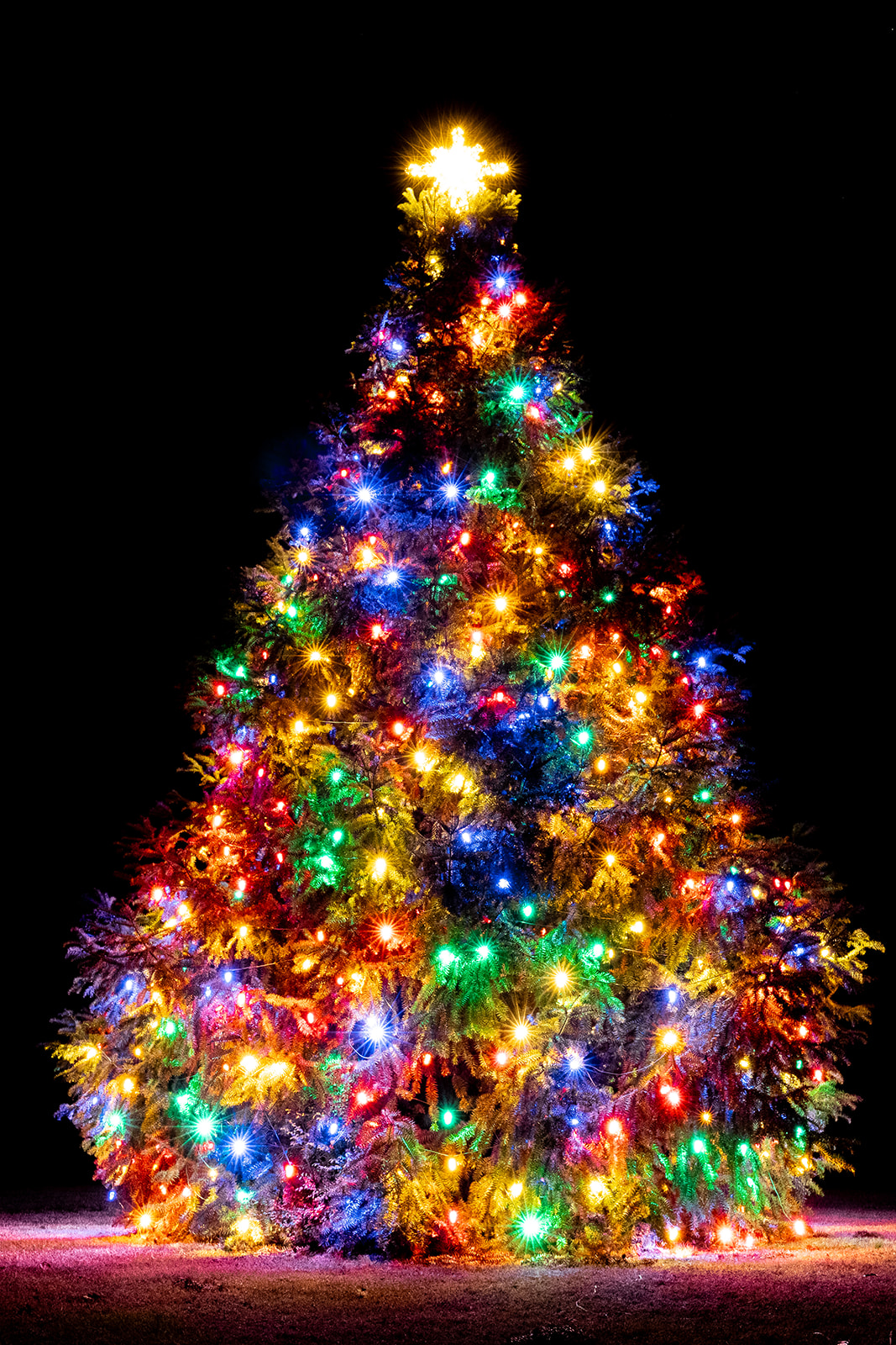 outdoor christmas light service